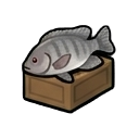tilapia — RimWorld sprite
