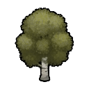 birch tree — RimWorld tree sprite