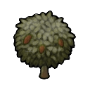 cocoa tree — RimWorld sprite