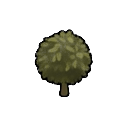 immature cocoa tree — RimWorld sprite