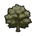 maple tree — RimWorld sprite
