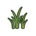 young immature sugarcane green shoots — RimWorld sprite