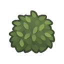 immature lime bush leafy green no fruit — RimWorld sprite