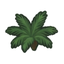 immature acai short palm bush no berries — RimWorld sprite