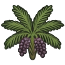mature acai bush with dark purple berry clusters — RimWorld sprite