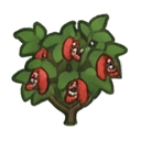 mature guarana shrub with red pods showing black… — RimWorld sprite