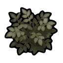 potato shrub — RimWorld sprite