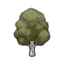 birch tree — RimWorld sprite