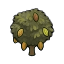 cocoa tree — RimWorld sprite