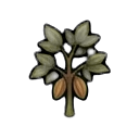 immature cocoa tree — RimWorld sprite