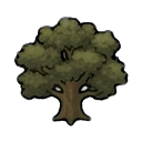oak tree — RimWorld sprite