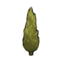 poplar tree — RimWorld sprite
