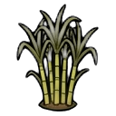 mature sugarcane — RimWorld sprite