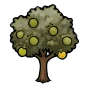 mature lime tree — RimWorld sprite