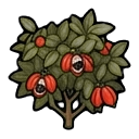 mature guaraná — RimWorld sprite