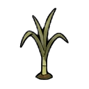 immature sugarcane sprout — RimWorld sprite