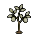 immature lime tree sapling — RimWorld sprite