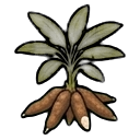 mature cassava — RimWorld sprite