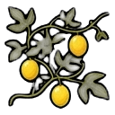 mature passion fruit vine — RimWorld sprite