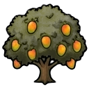 mature mango tree — RimWorld sprite