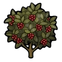 mature coffee bush — RimWorld sprite