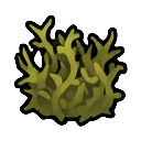 polluted brambles — RimWorld sprite