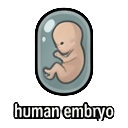 human embryo — RimWorld sprite
