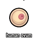 human ovum — RimWorld sprite