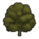 sugar maple tree — RimWorld tree sprite