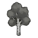 white birch tree — RimWorld tree sprite