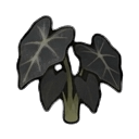 alocasia — RimWorld sprite