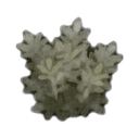 ambrosia plant — RimWorld sprite