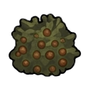 berry plant — RimWorld sprite