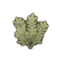immature ambrosia plant — RimWorld sprite