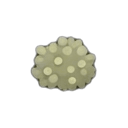 immature berry plant — RimWorld sprite