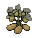 potato plant — RimWorld sprite