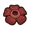 rafflesia — RimWorld sprite