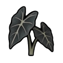 alocasia — RimWorld sprite