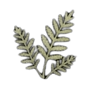 astragalus — RimWorld sprite