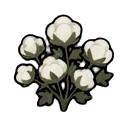 cotton plant — RimWorld sprite
