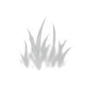 grass anima — RimWorld plant sprite