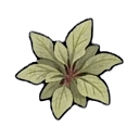 healroot — RimWorld plant sprite