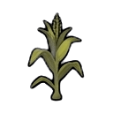 immature corn plant — RimWorld sprite