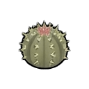 pincushion cactus — RimWorld sprite