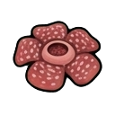 rafflesia — RimWorld sprite