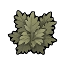 smokeleaf plant — RimWorld sprite