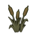 bulrush — RimWorld sprite