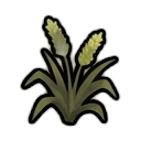 fibercorn plant — RimWorld sprite