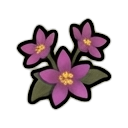 tinctoria flower — RimWorld sprite
