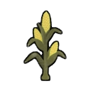 corn plant (70% matured) — RimWorld sprite